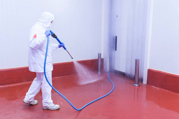 Animal Enclosure Cleaning in Springfield, GA