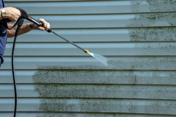Best Sidewalk and Walkway Cleaning  in Springfield, GA