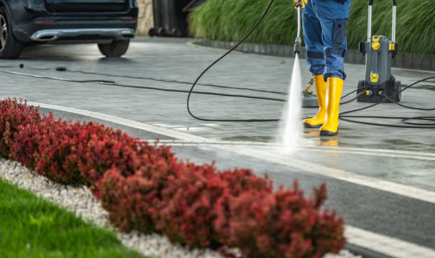 Reliable Springfield, GA Pressure Washing Services Solutions